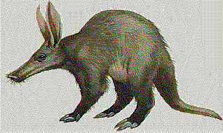 Aardvark - The X/Open Bug Eater